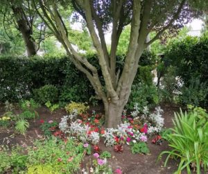 Shanklin Green Towns Project
